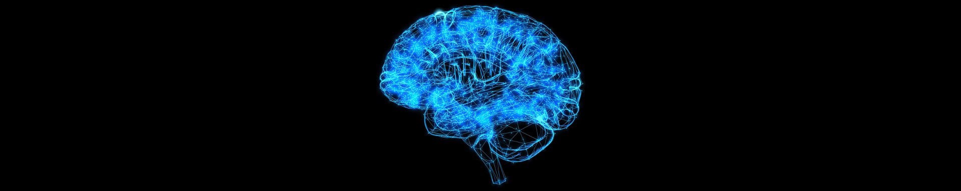 cerveau